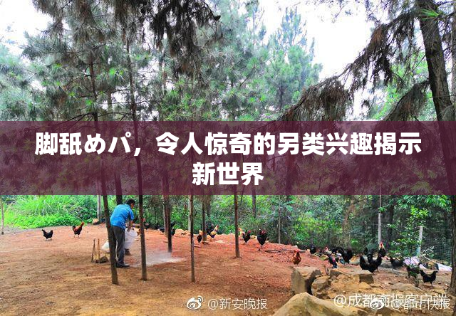 脚舐めパ，令人惊奇的另类兴趣揭示新世界