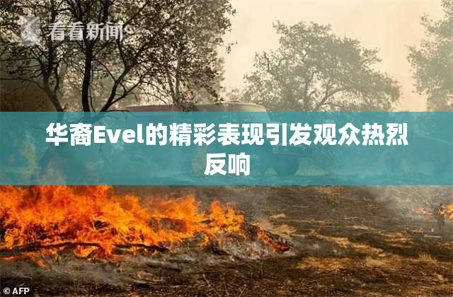 华裔Evel的精彩表现引发观众热烈反响