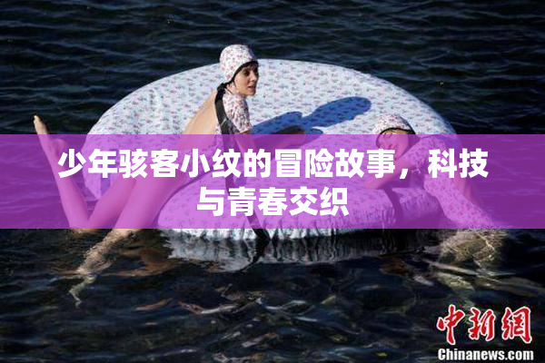 少年骇客小纹的冒险故事，科技与青春交织