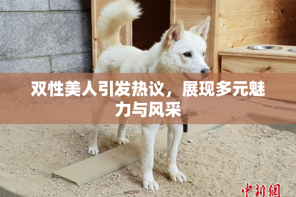 双性美人引发热议，展现多元魅力与风采