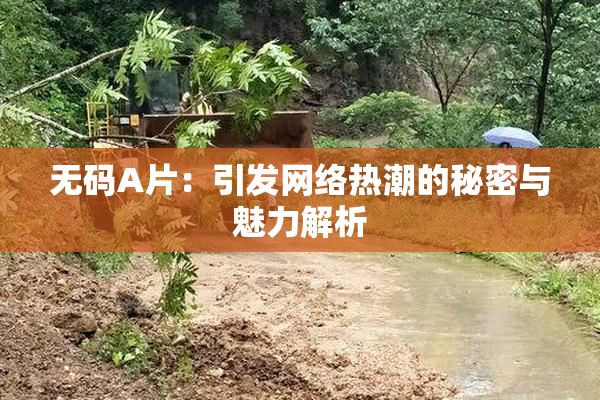 无码A片：引发网络热潮的秘密与魅力解析