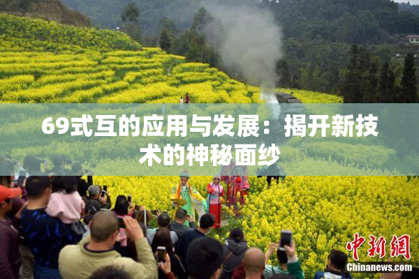 69式互的应用与发展：揭开新技术的神秘面纱