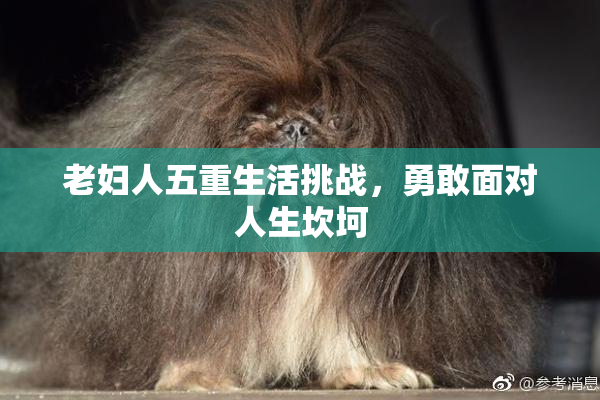 老妇人五重生活挑战，勇敢面对人生坎坷