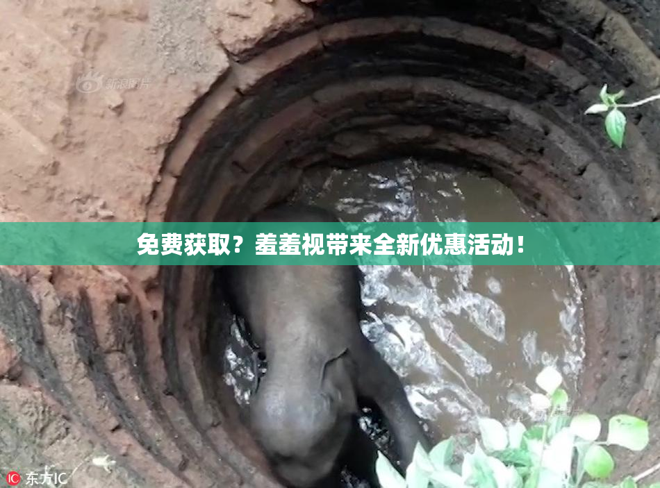 免费获取？羞羞视带来全新优惠活动！