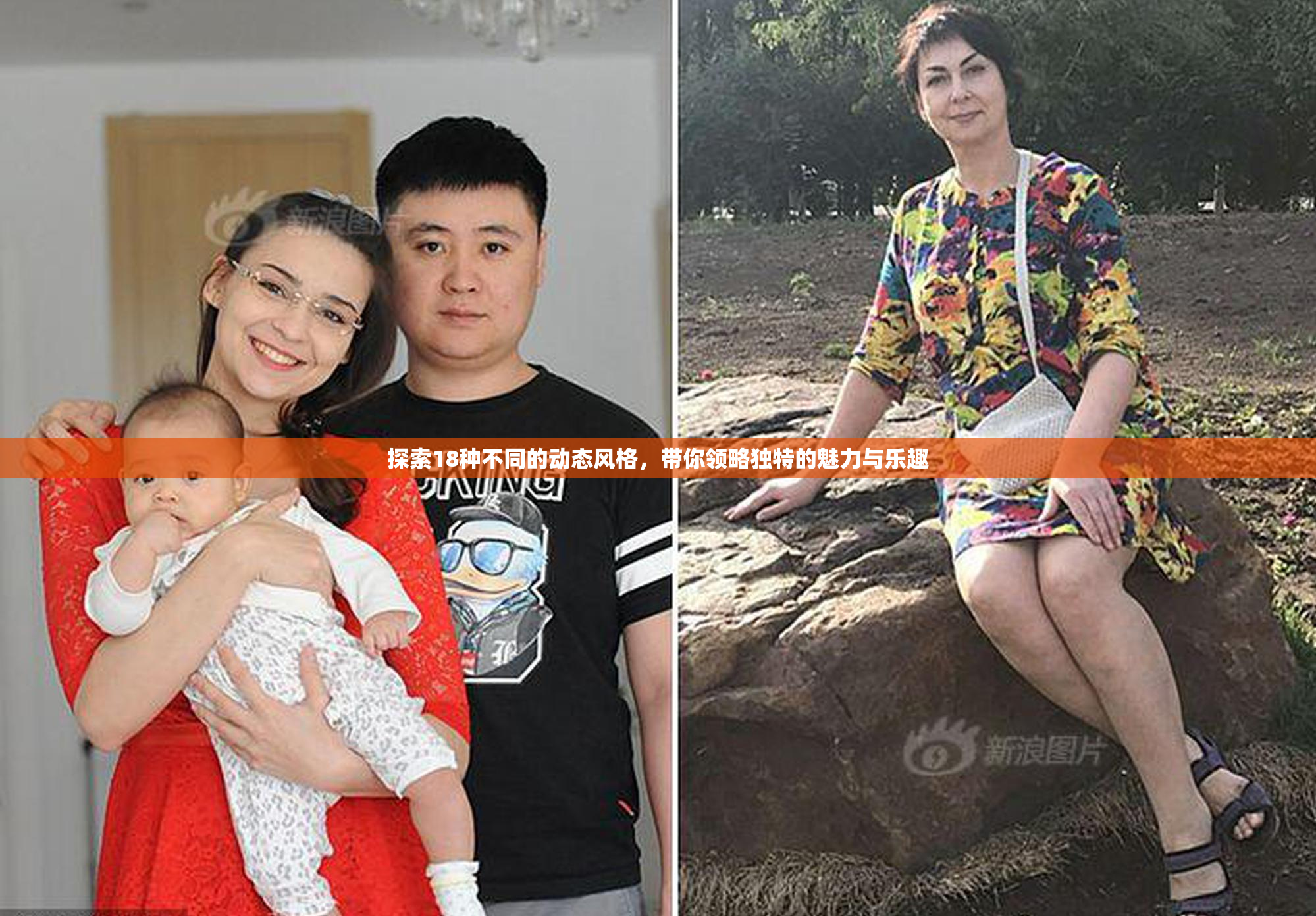 探索18种不同的动态风格，带你领略独特的魅力与乐趣