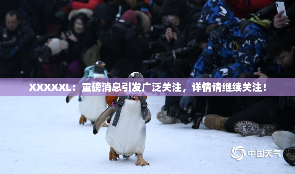 XXXXXL：重磅消息引发广泛关注，详情请继续关注！