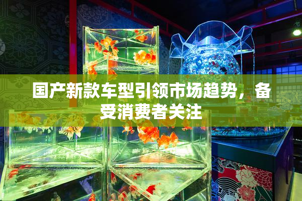 国产新款车型引领市场趋势，备受消费者关注