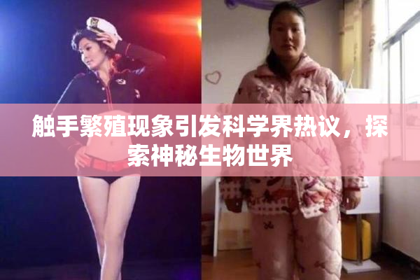 触手繁殖现象引发科学界热议，探索神秘生物世界