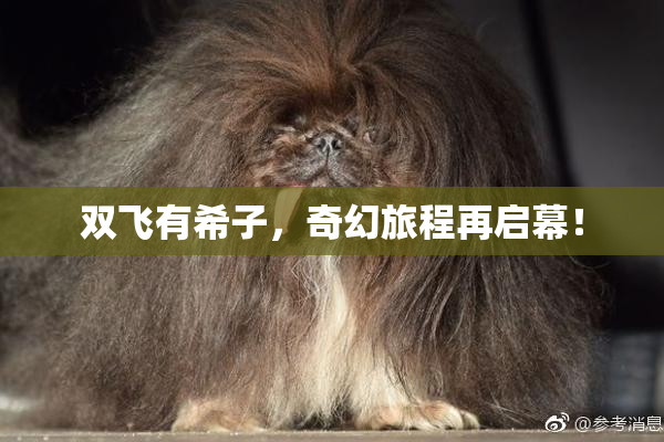 双飞有希子，奇幻旅程再启幕！