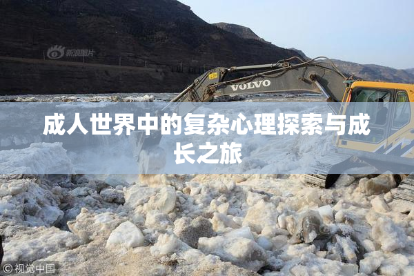 成人世界中的复杂心理探索与成长之旅