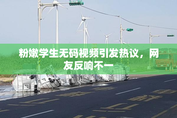粉嫩学生无码视频引发热议，网友反响不一