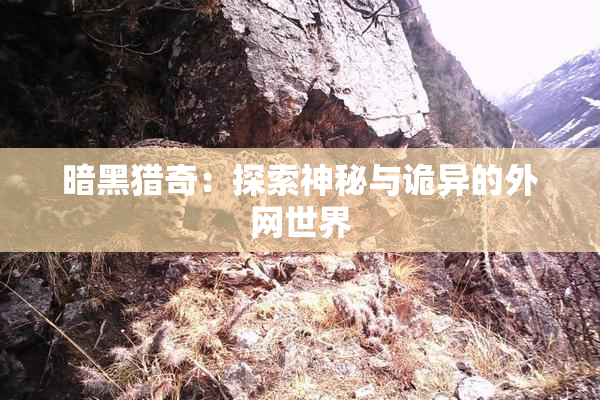 暗黑猎奇：探索神秘与诡异的外网世界