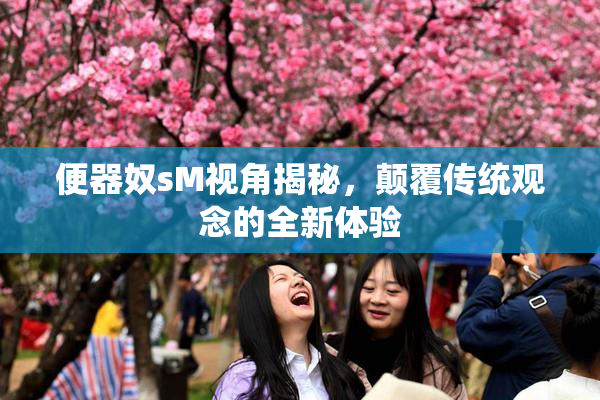 便器奴sM视角揭秘，颠覆传统观念的全新体验