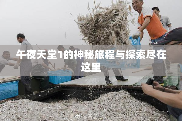 午夜天堂1的神秘旅程与探索尽在这里