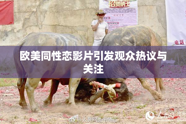 欧美同性恋影片引发观众热议与关注