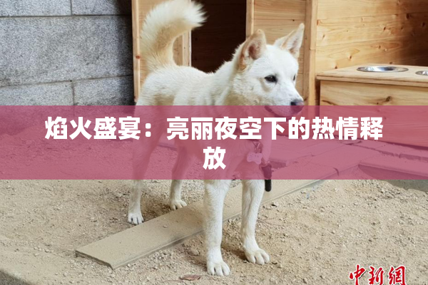 焰火盛宴：亮丽夜空下的热情释放