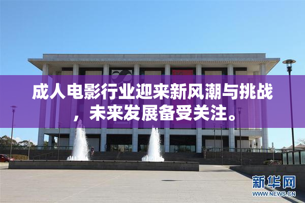 成人电影行业迎来新风潮与挑战，未来发展备受关注。
