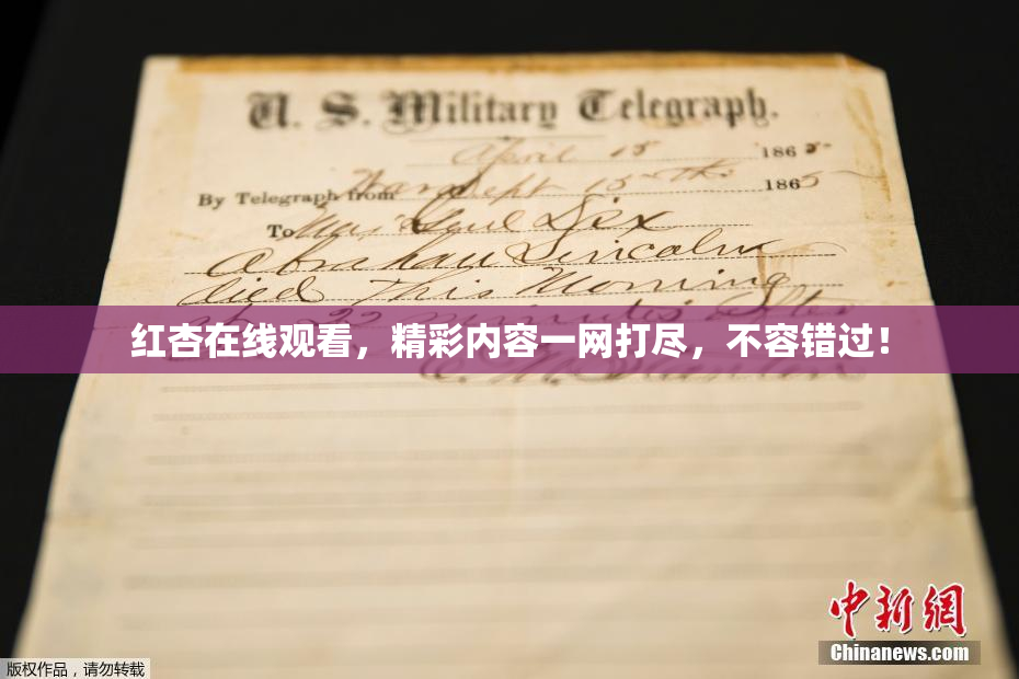 红杏在线观看，精彩内容一网打尽，不容错过！
