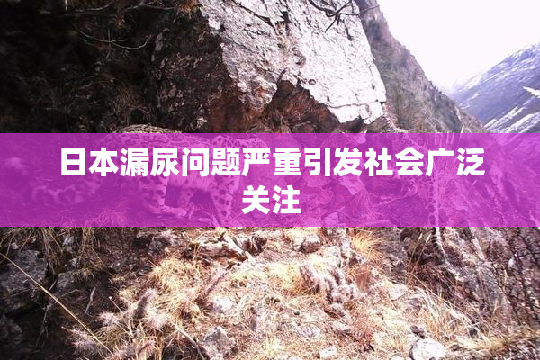 日本漏尿问题严重引发社会广泛关注