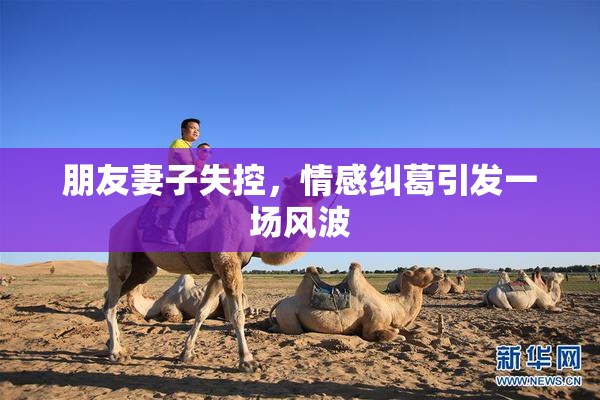 朋友妻子失控，情感纠葛引发一场风波