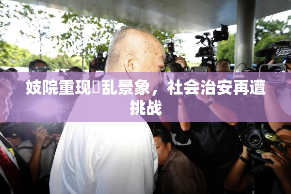 妓院重现婬乱景象，社会治安再遭挑战