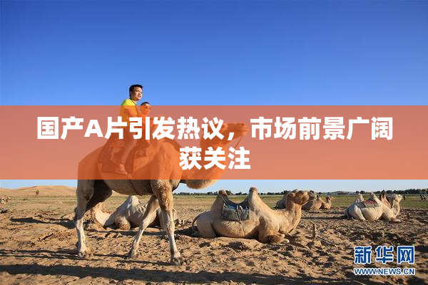 国产A片引发热议，市场前景广阔获关注