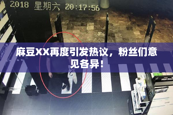 麻豆XX再度引发热议，粉丝们意见各异！