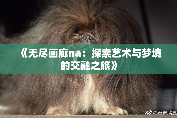 《无尽画廊na：探索艺术与梦境的交融之旅》