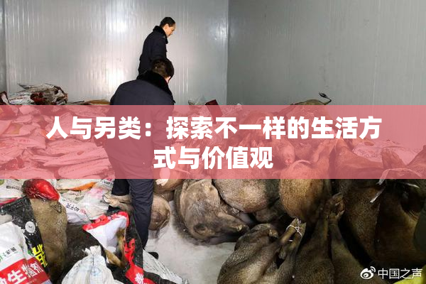 人与另类：探索不一样的生活方式与价值观