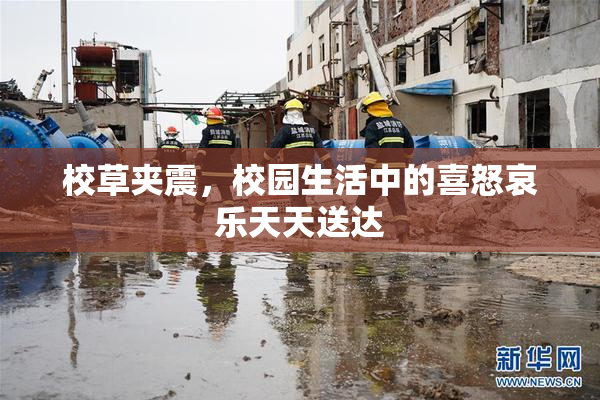 校草夹震，校园生活中的喜怒哀乐天天送达