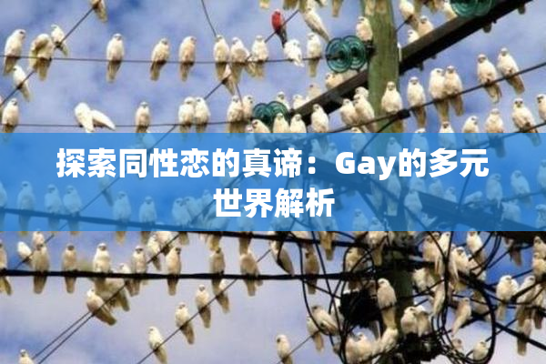 探索同性恋的真谛：Gay的多元世界解析