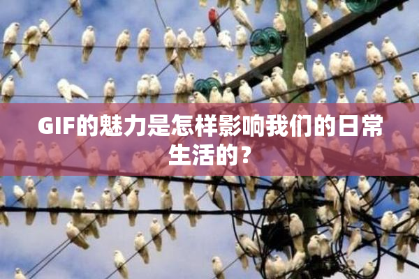 GIF的魅力是怎样影响我们的日常生活的？