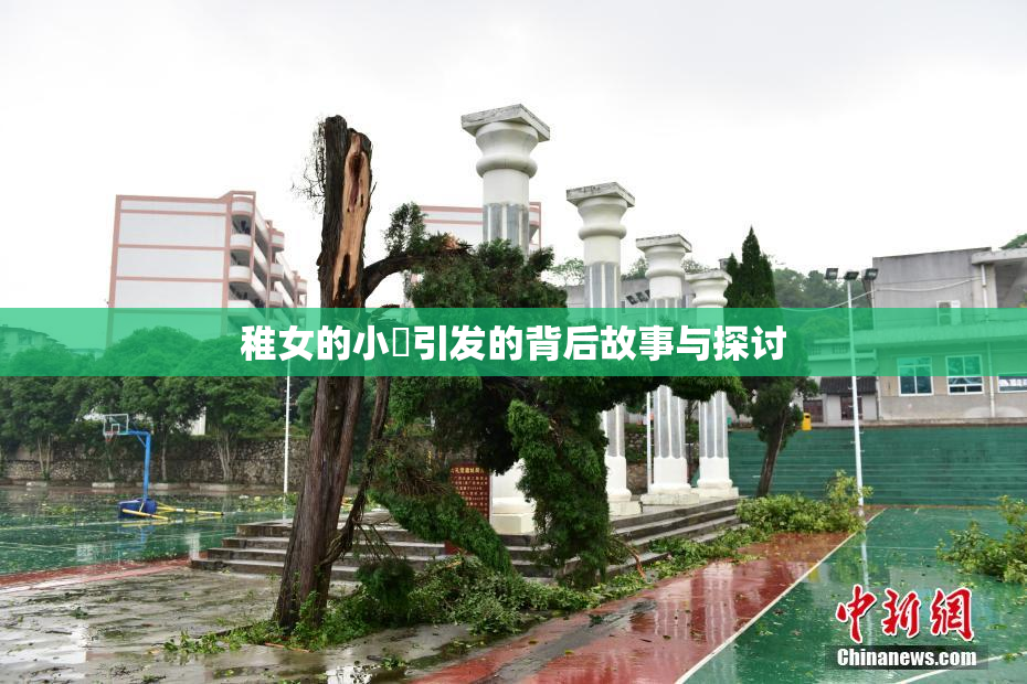 稚女的小泬引发的背后故事与探讨