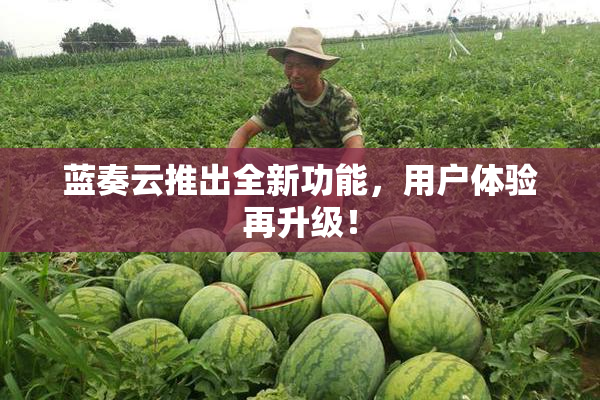 蓝奏云推出全新功能，用户体验再升级！