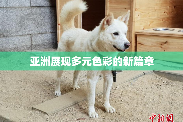 亚洲展现多元色彩的新篇章