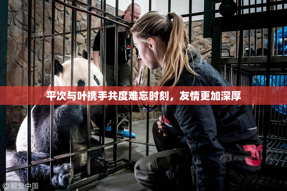 平次与叶携手共度难忘时刻，友情更加深厚