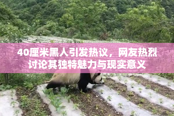 40厘米黑人引发热议，网友热烈讨论其独特魅力与现实意义