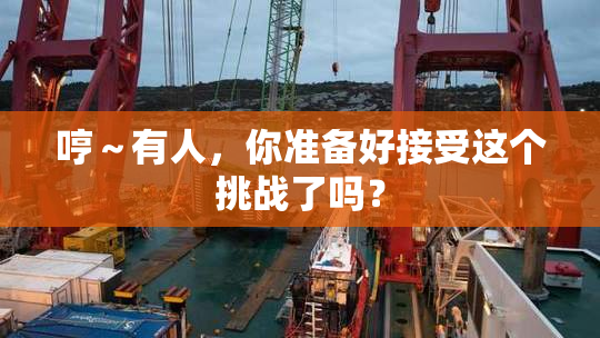 哼～有人，你准备好接受这个挑战了吗？