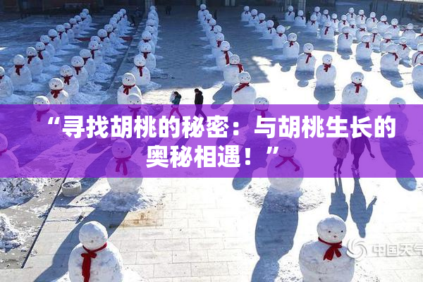 “寻找胡桃的秘密：与胡桃生长的奥秘相遇！”