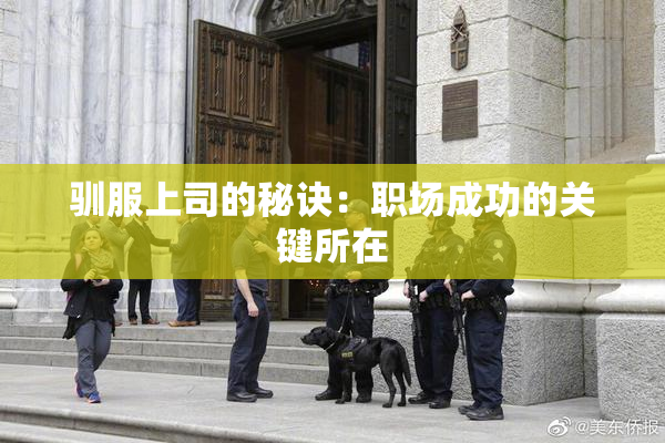 驯服上司的秘诀：职场成功的关键所在