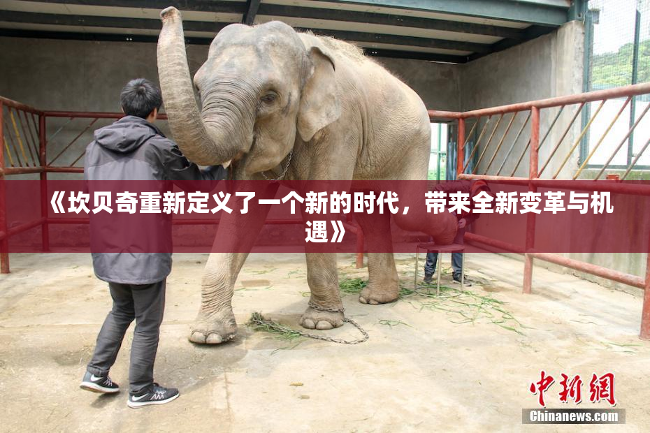 《坎贝奇重新定义了一个新的时代，带来全新变革与机遇》