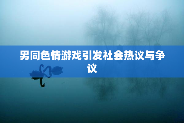 男同色情游戏引发社会热议与争议