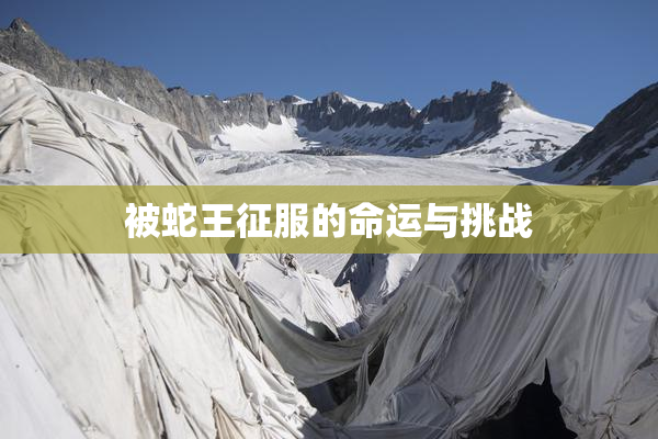 被蛇王征服的命运与挑战