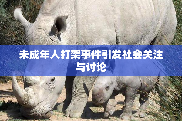 未成年人打架事件引发社会关注与讨论