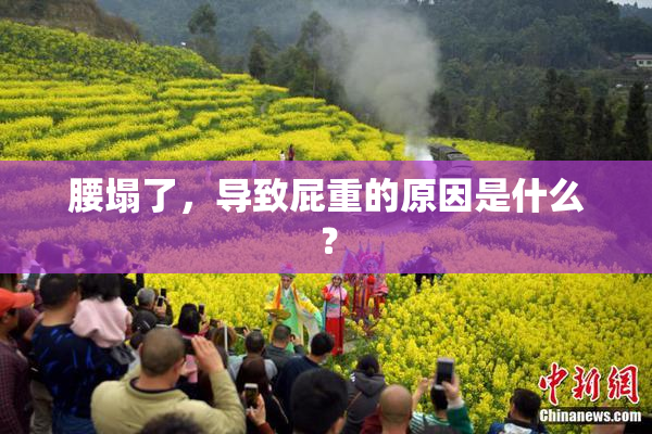 腰塌了，导致屁重的原因是什么？