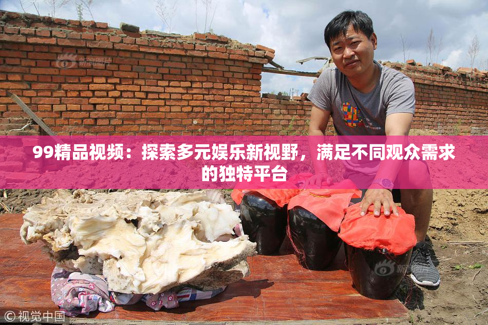 99精品视频：探索多元娱乐新视野，满足不同观众需求的独特平台