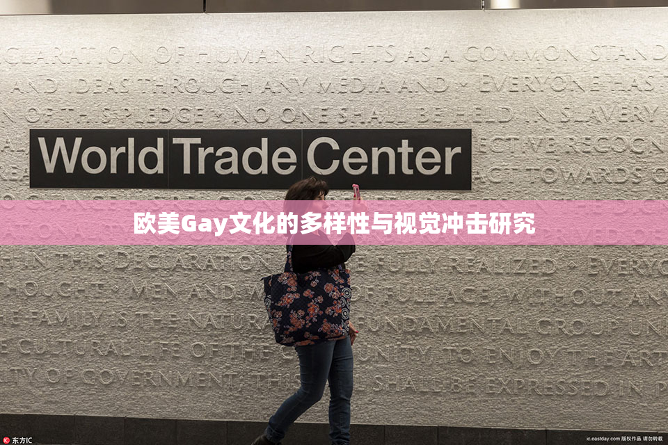 欧美Gay文化的多样性与视觉冲击研究