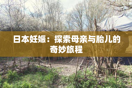 日本妊娠：探索母亲与胎儿的奇妙旅程