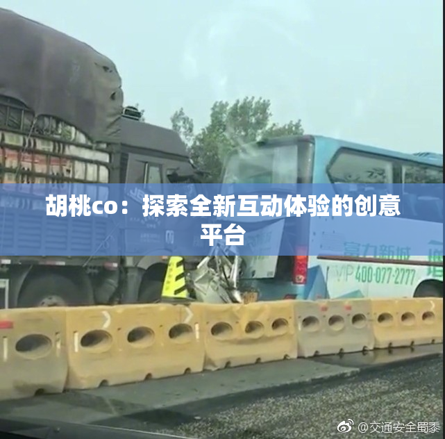 胡桃co：探索全新互动体验的创意平台