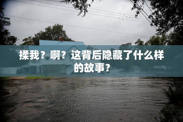揉我？啊？这背后隐藏了什么样的故事？